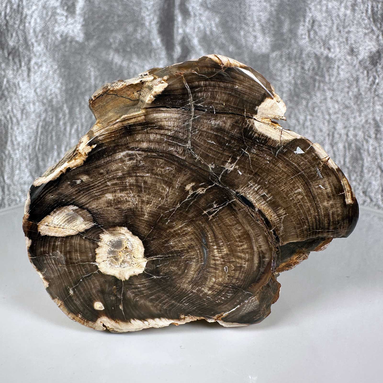 Polished Specimens