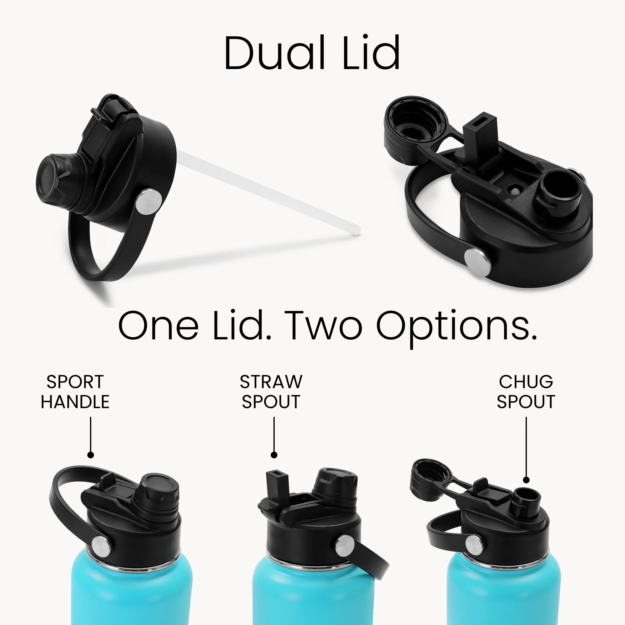 Jolly Rockhound 32oz Hydro Water Bottle