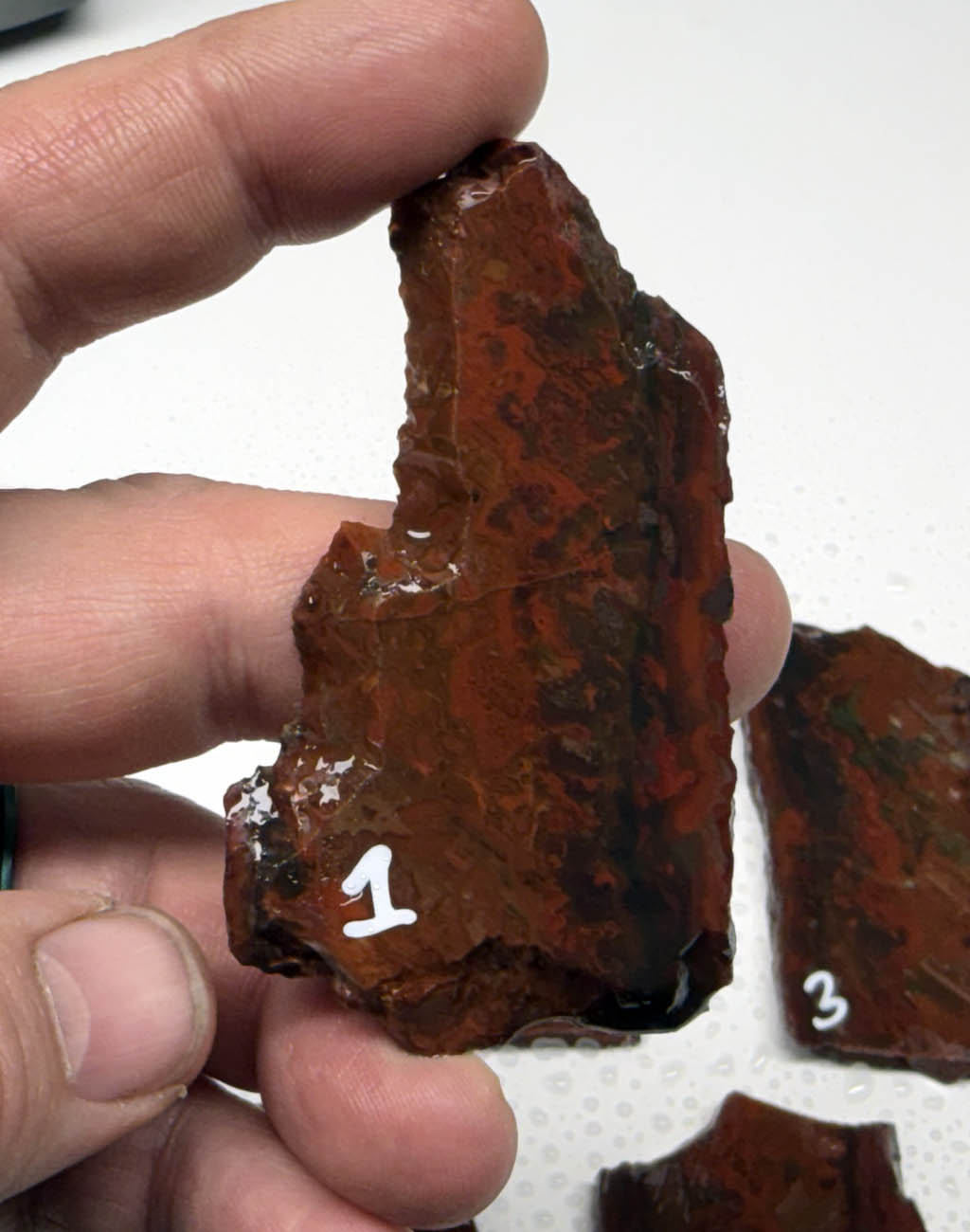 Idaho Wildfire Jasper #2 ID2