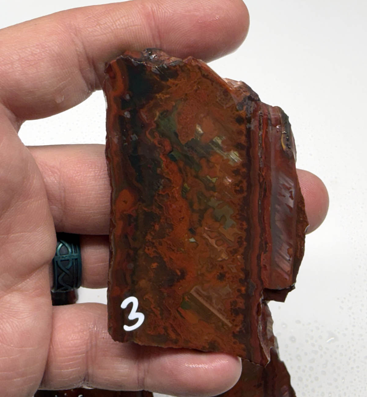 Idaho Wildfire Jasper #2 ID2