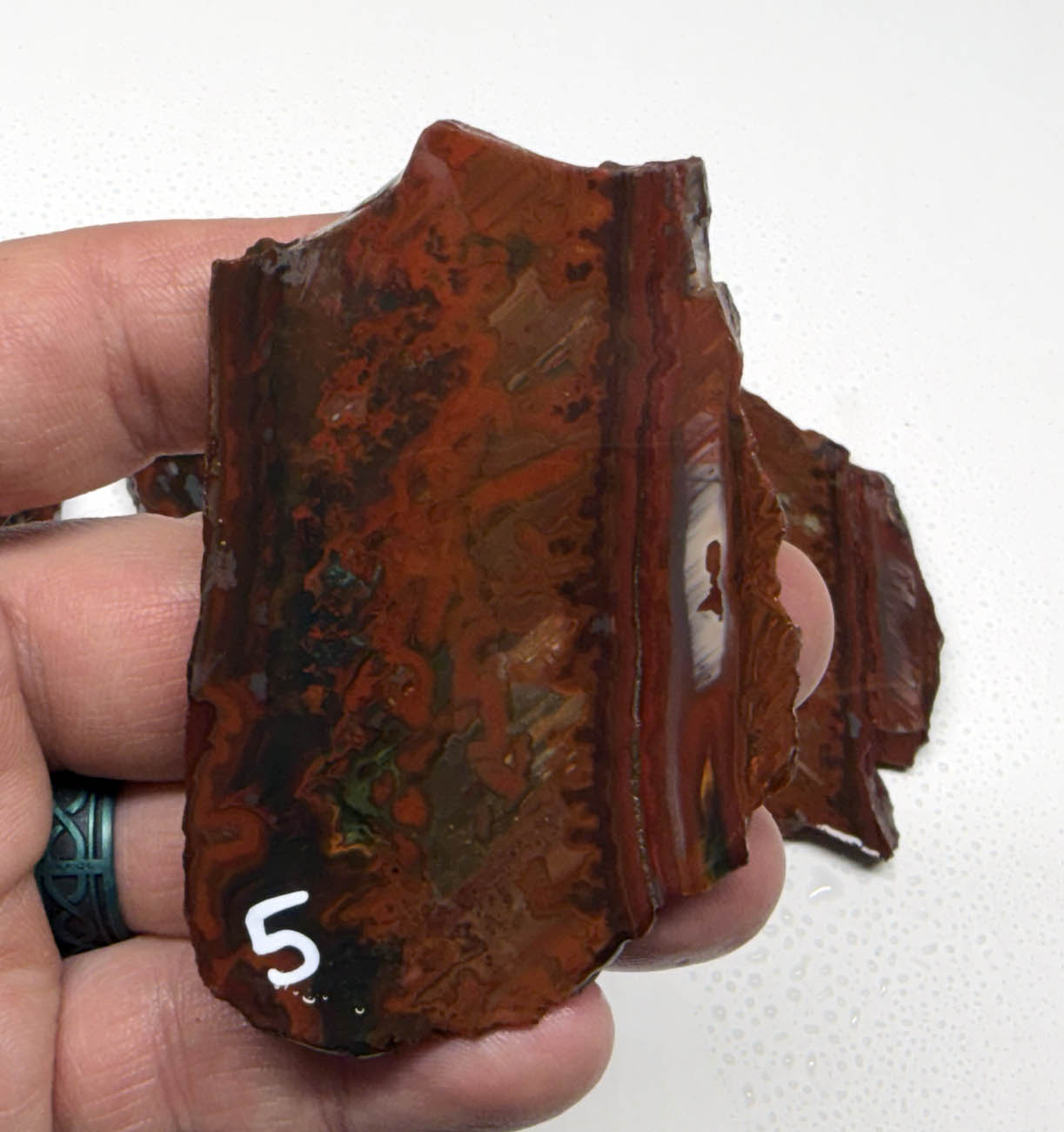 Idaho Wildfire Jasper #2 ID2