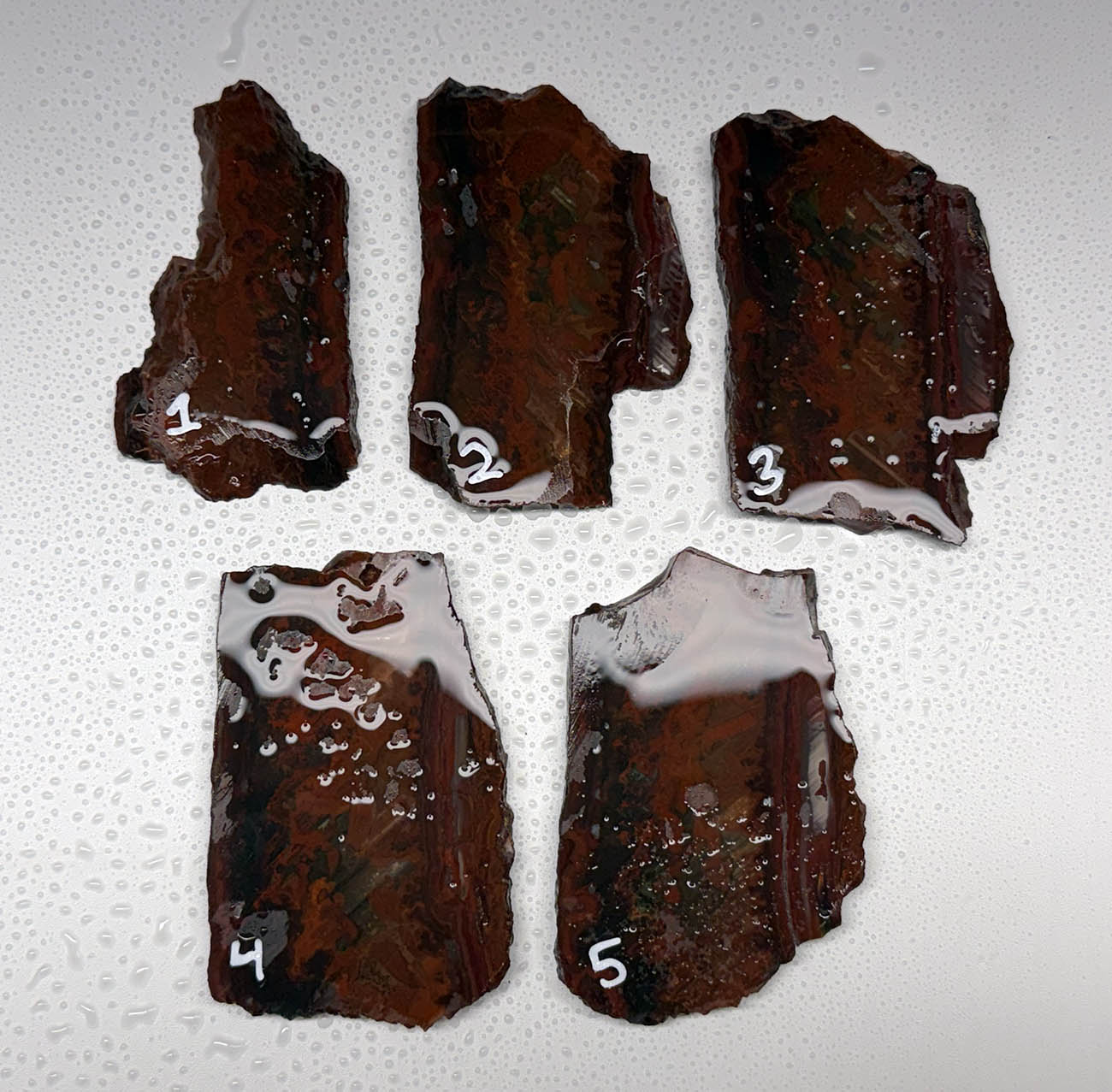 Idaho Wildfire Jasper #2 ID2