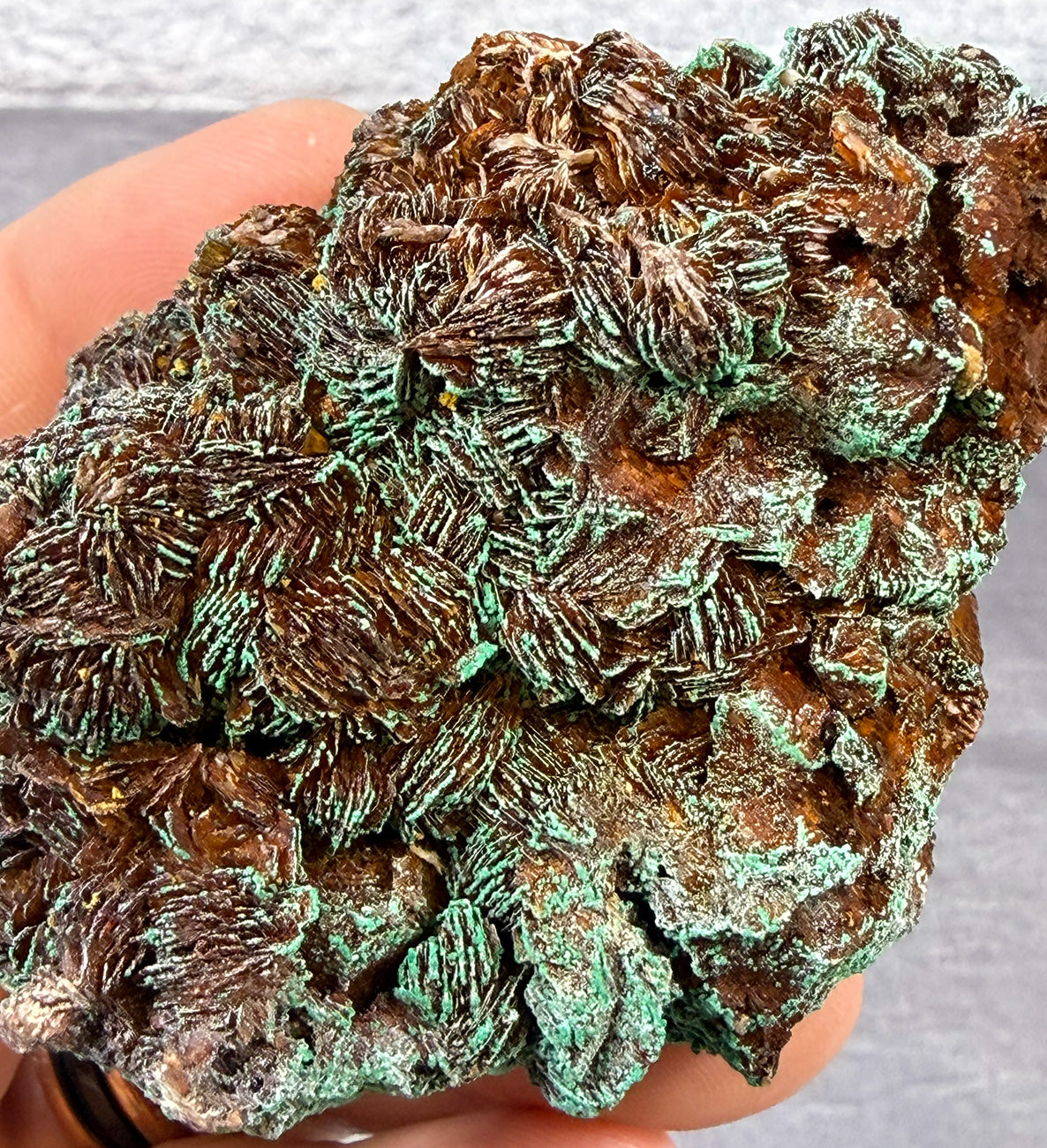 Malachite on Hematite Coated Barite Specimen MB1C