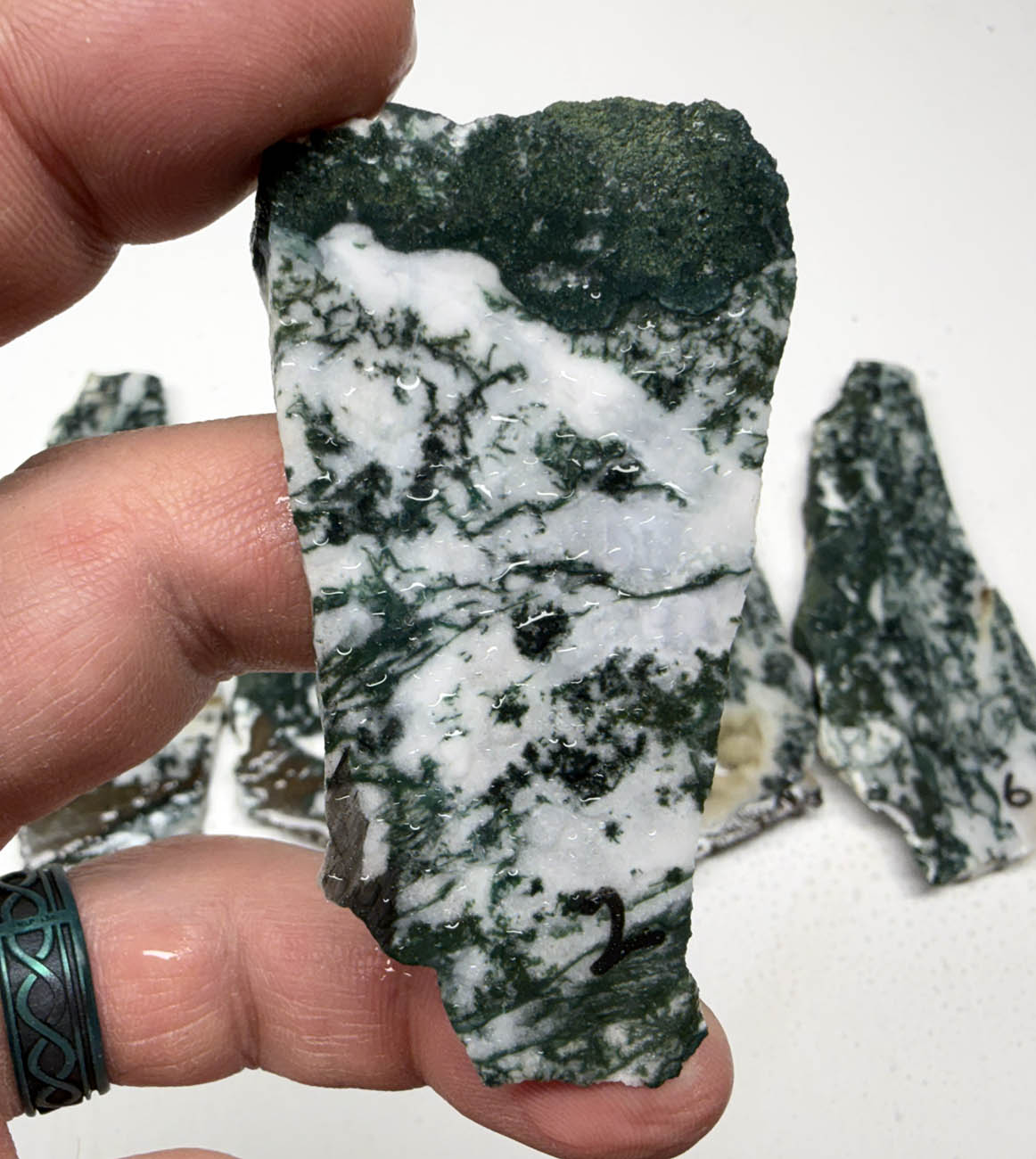 Medfordite Select Grade Green Moss Slabs MD1