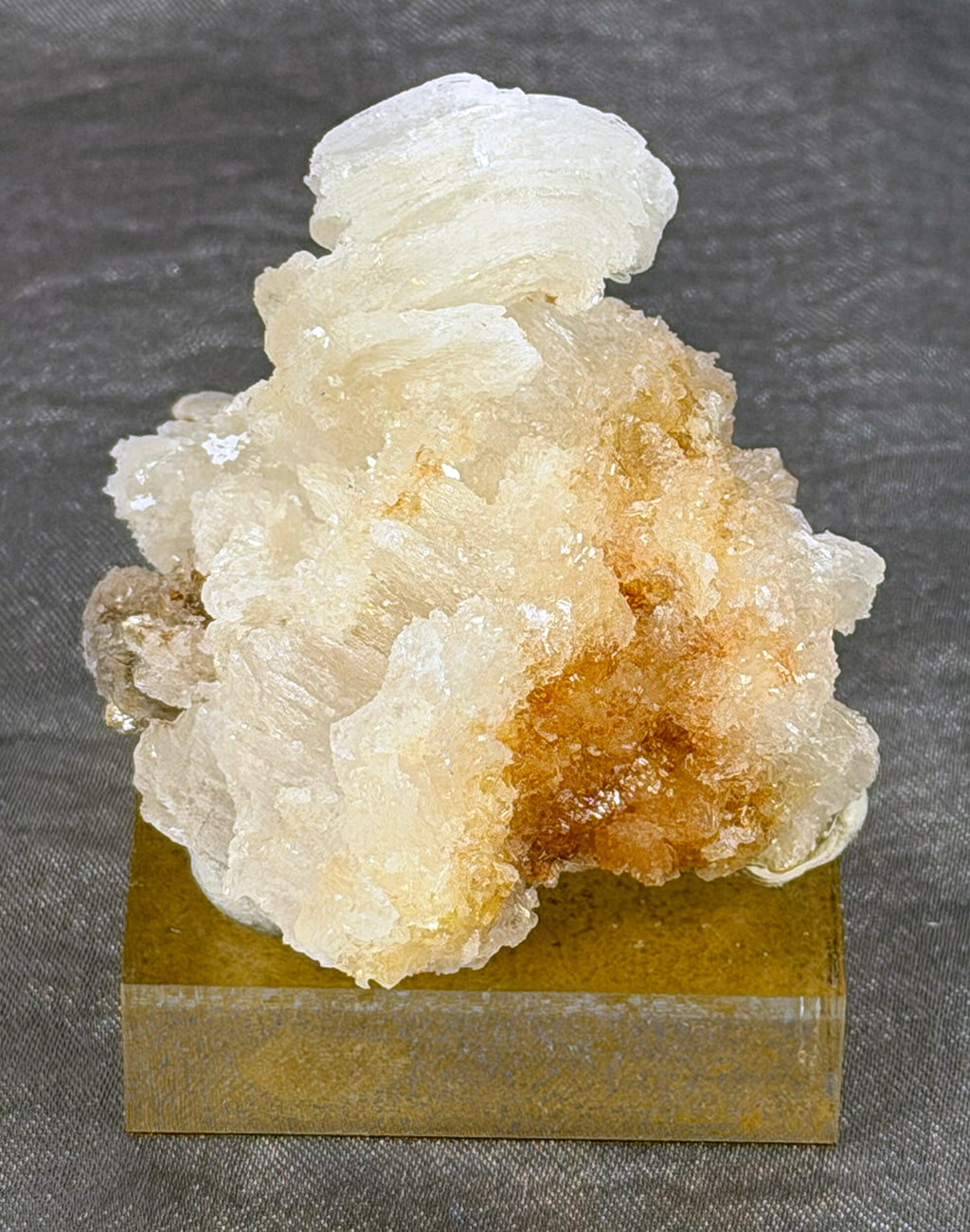 Rams Horn Selenite Mounted Specimen RH1