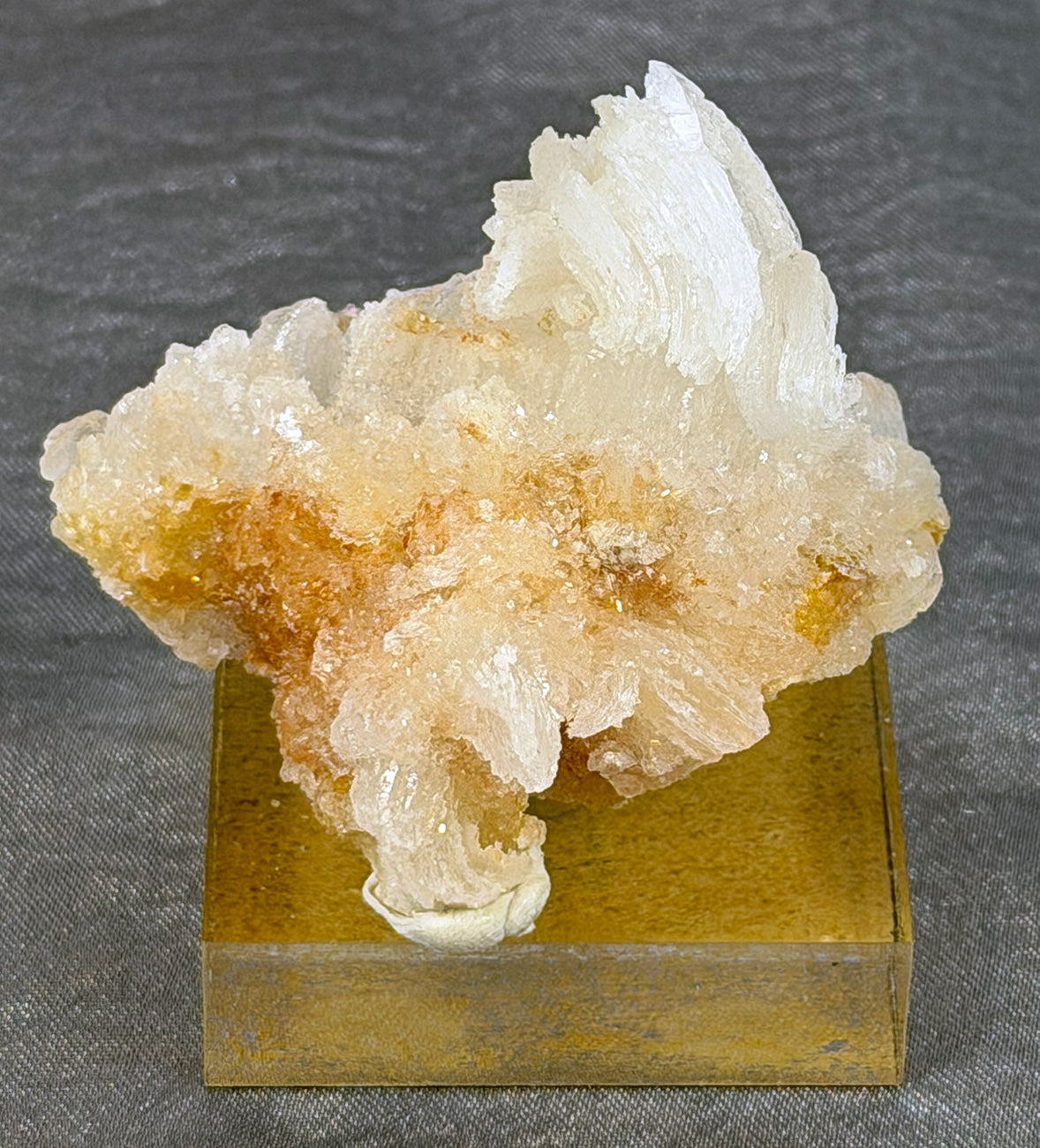 Rams Horn Selenite Mounted Specimen RH1