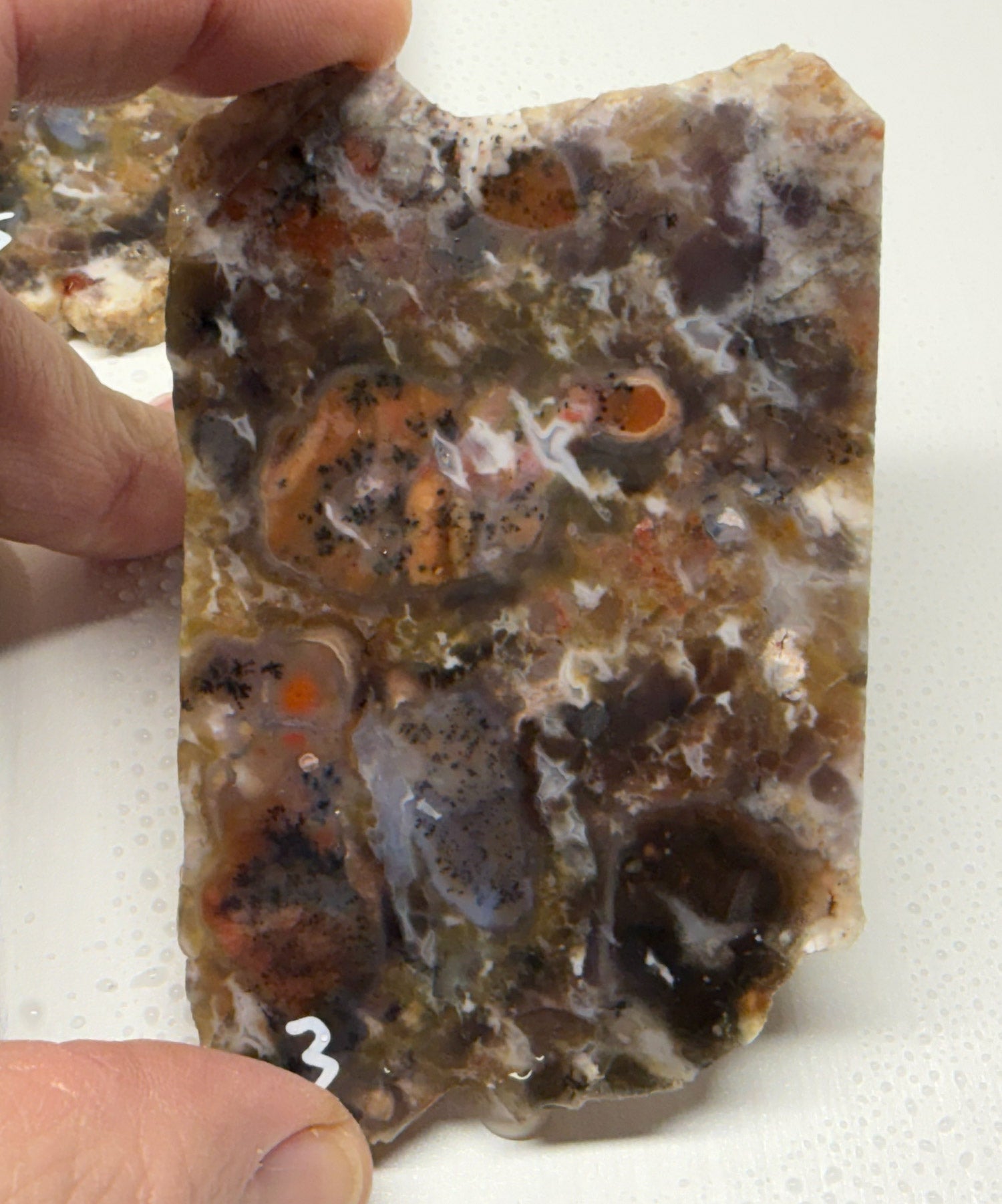 Drum Mountain Agate