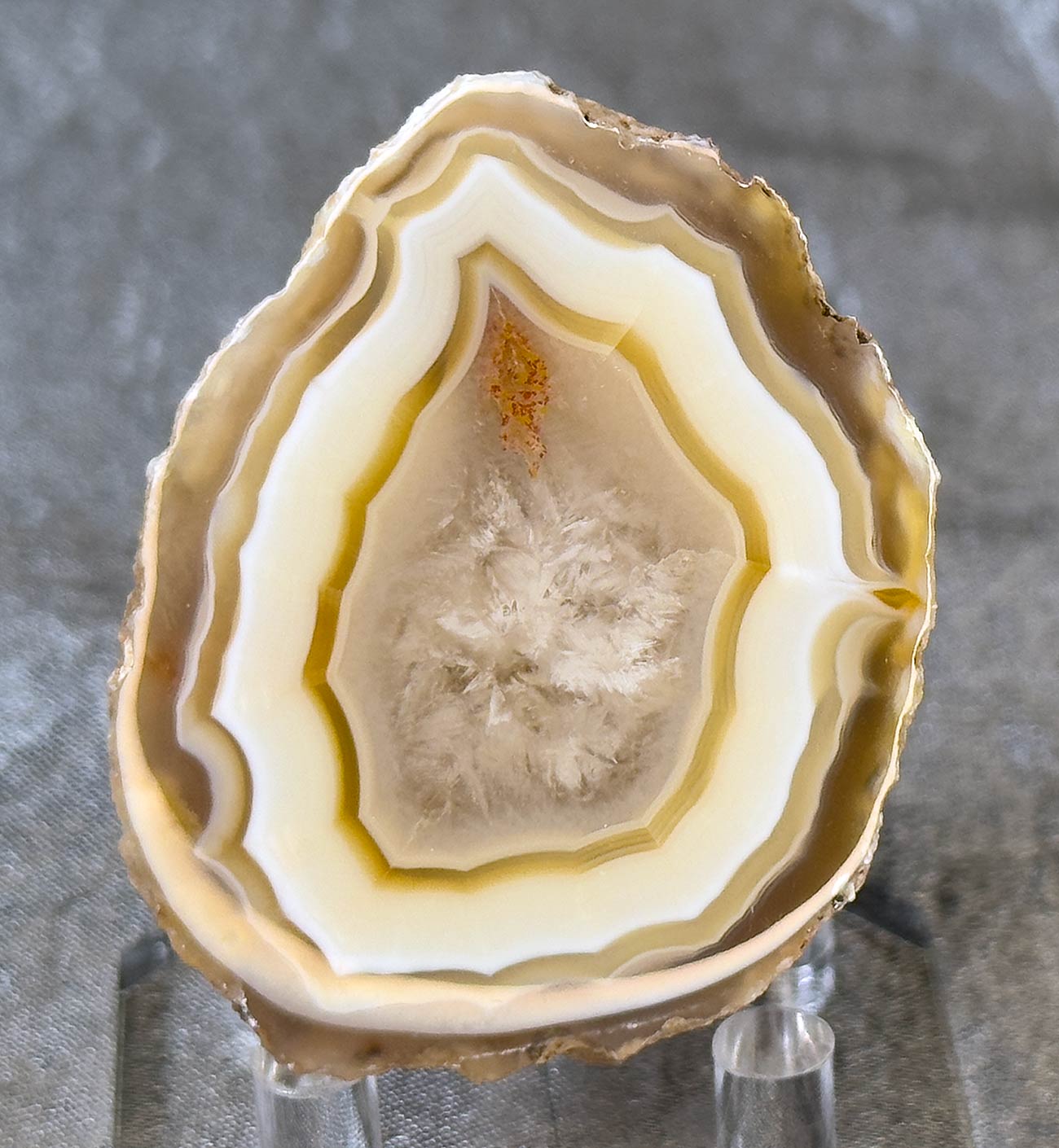 Moctezuma Cut Agate Specimen 0001