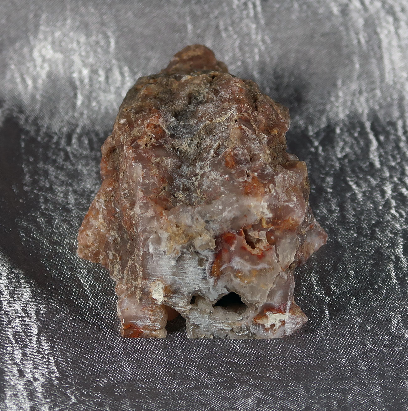 Wiggins Fork Agatized Wood Specimen 0003