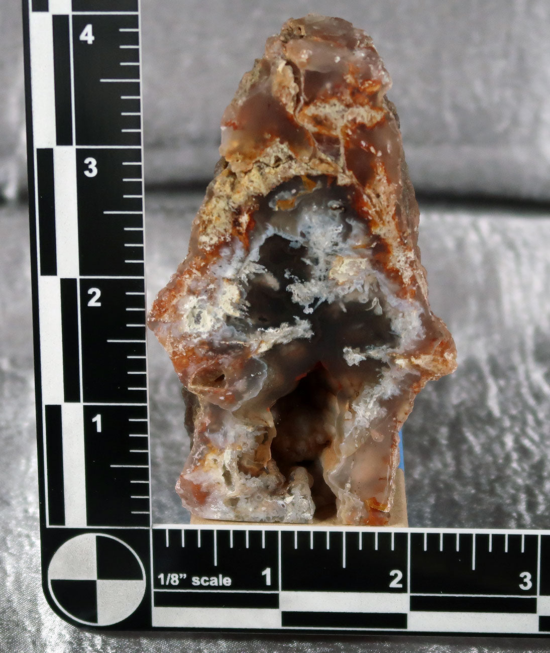 Wiggins Fork Agatized Wood Specimen 0003