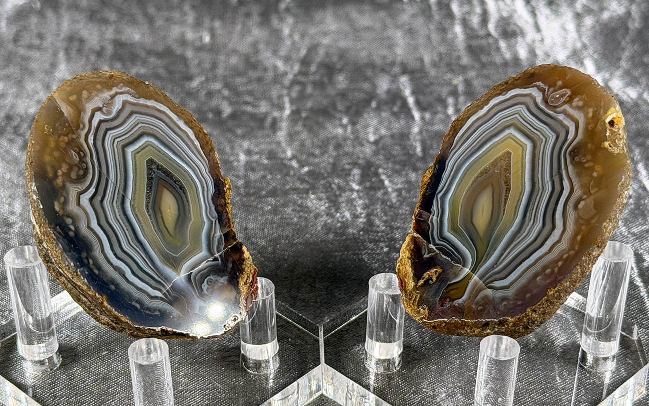 Indonesian Timor Agate Polished Cut Nodule