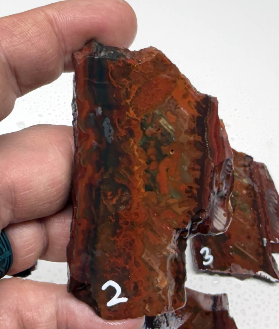 Idaho Wildfire Jasper #2 ID2