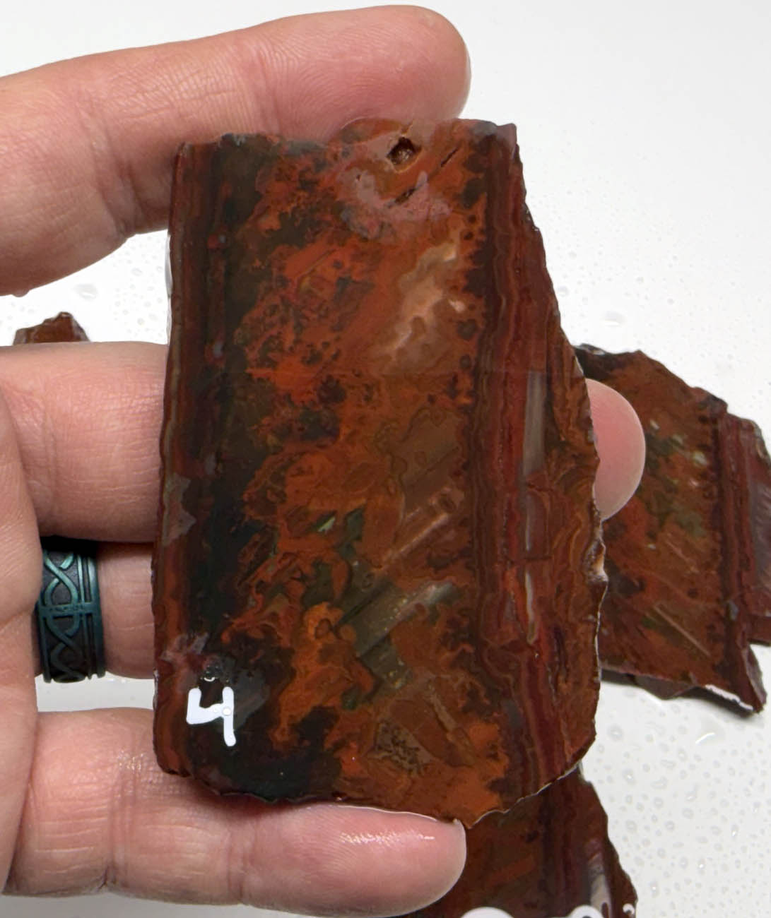 Idaho Wildfire Jasper #2 ID2