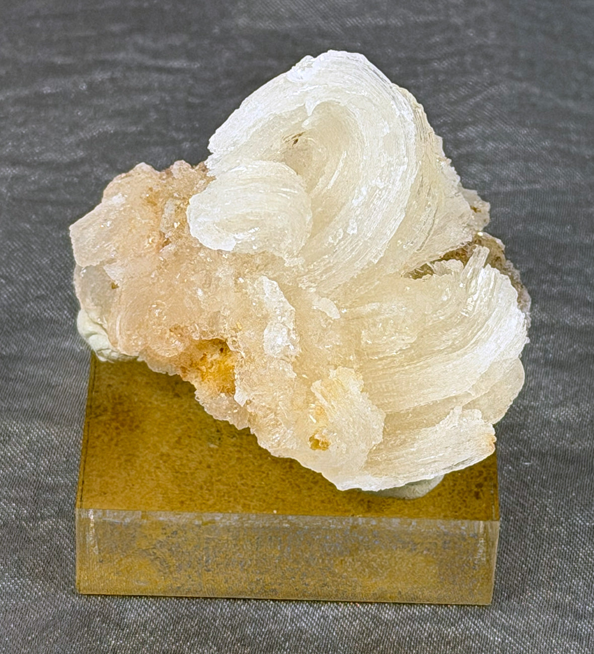 Rams Horn Selenite Mounted Specimen RH1