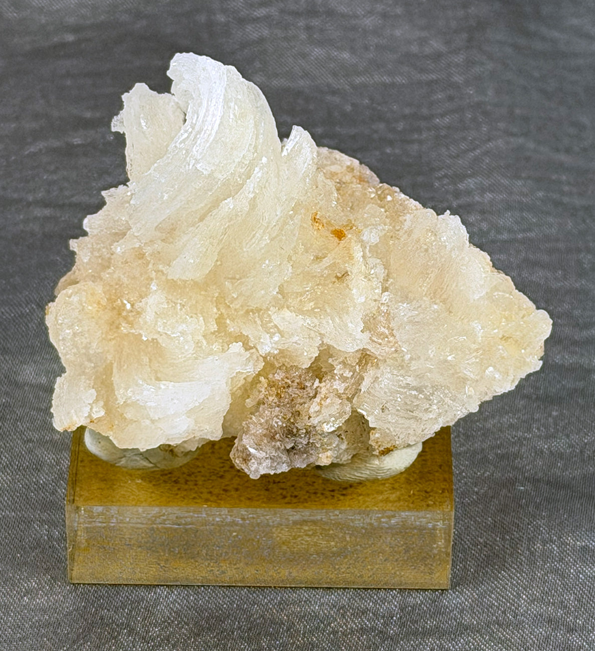 Rams Horn Selenite Mounted Specimen RH1