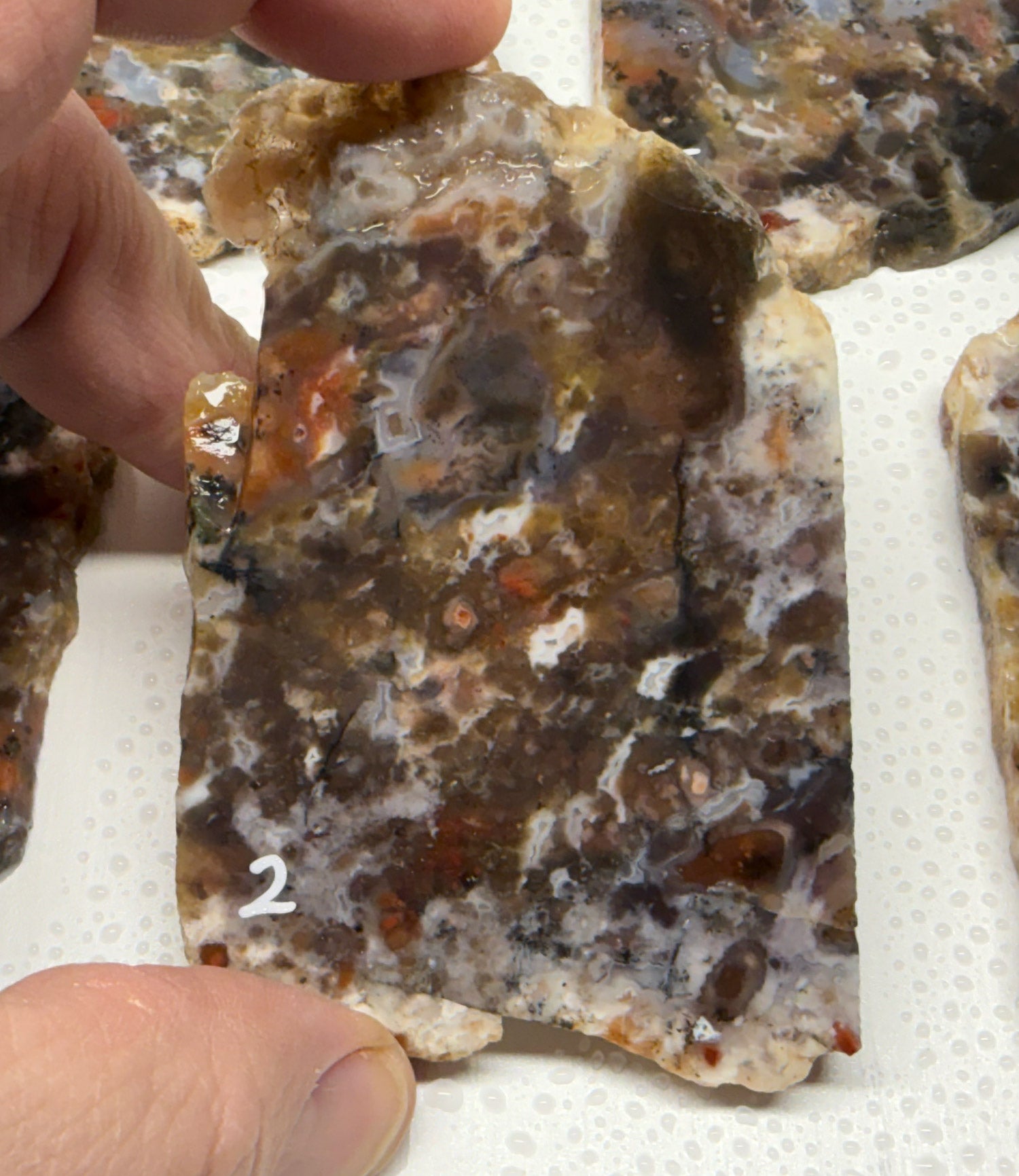 Drum Mountain Agate