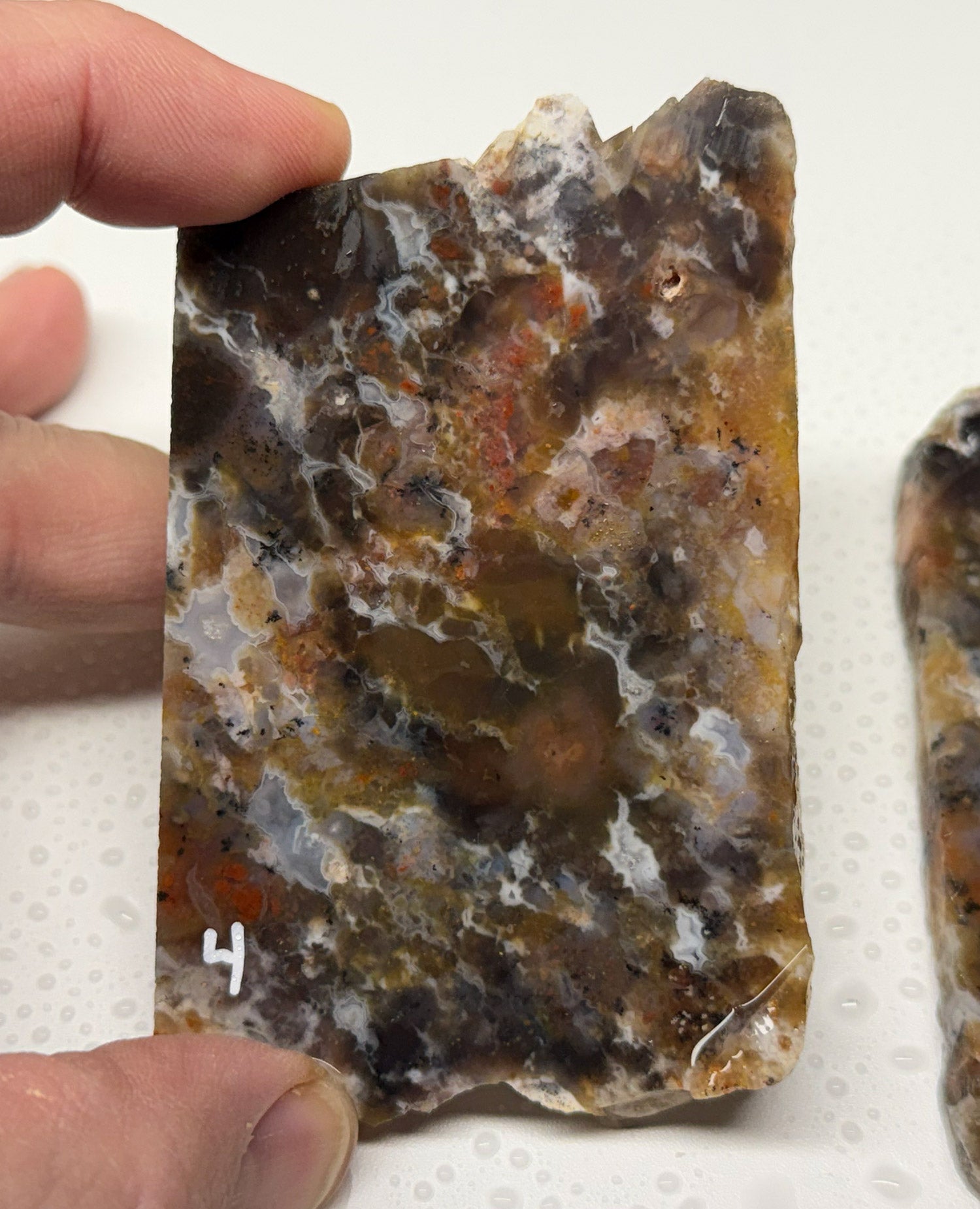 Drum Mountain Agate