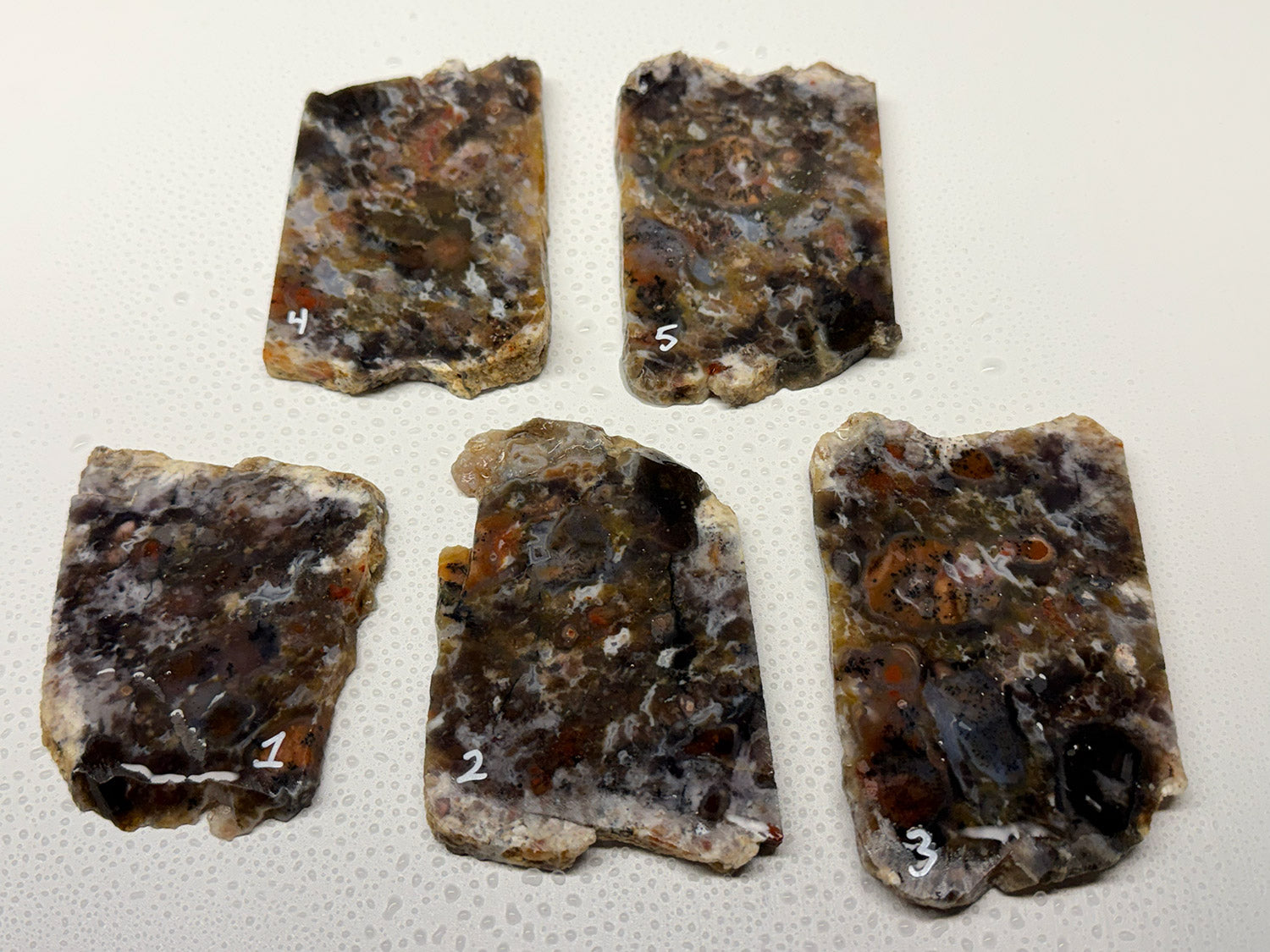 Drum Mountain Agate