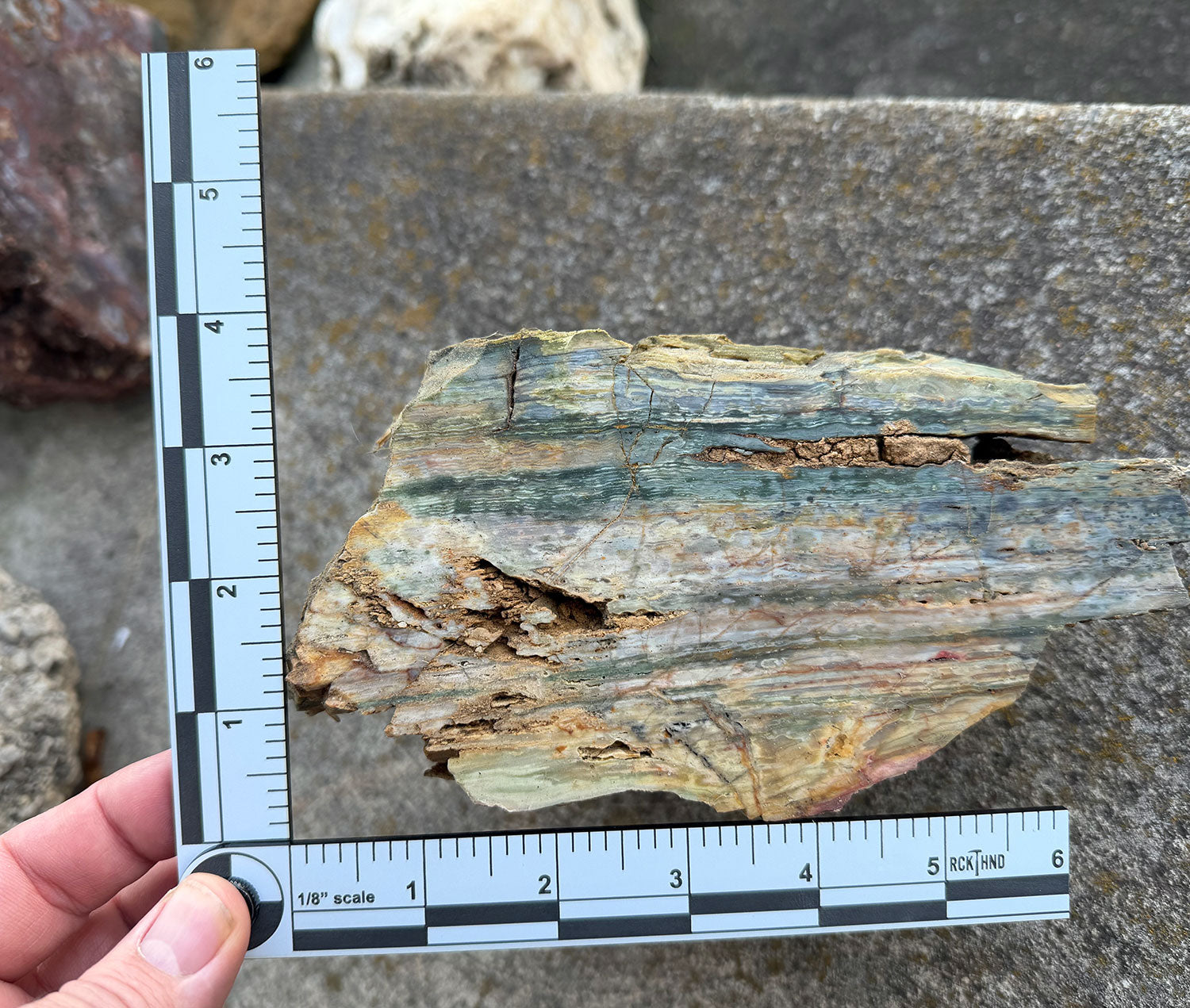Foldable Geology Photography Scale for Rockhounds and Science Majors