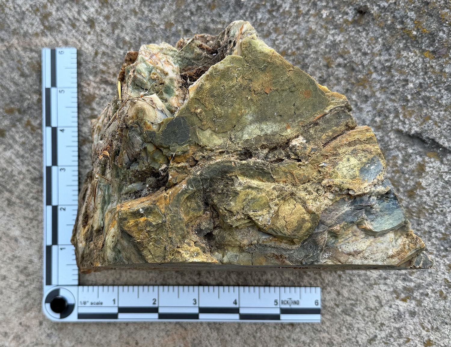 Foldable Geology Photography Scale for Rockhounds and Science Majors