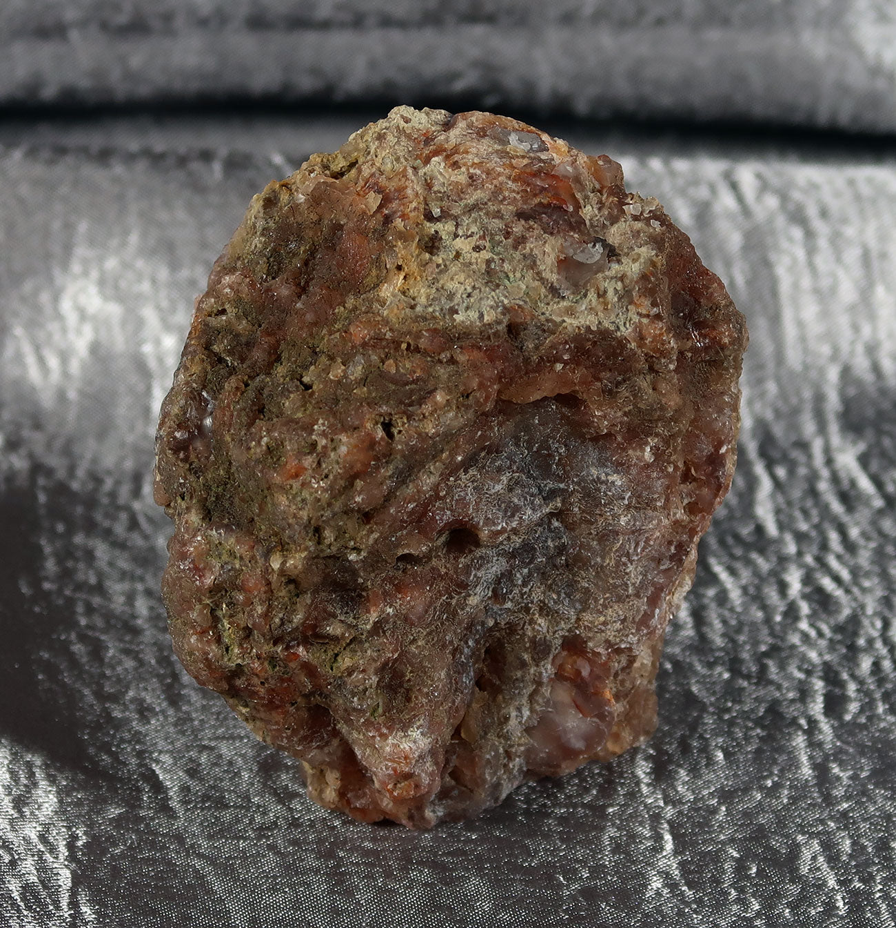 Wiggins Fork Agatized Wood Specimen 0004