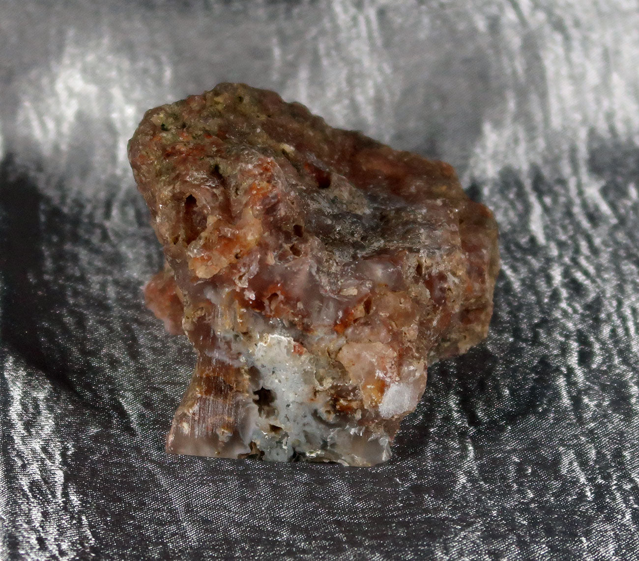 Wiggins Fork Agatized Wood Specimen 0004