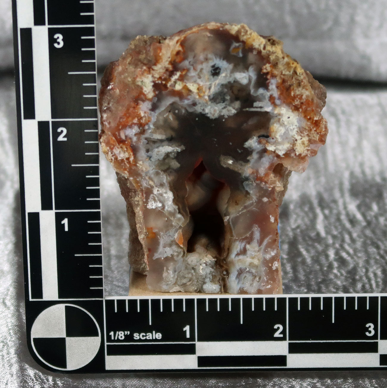 Wiggins Fork Agatized Wood Specimen 0004