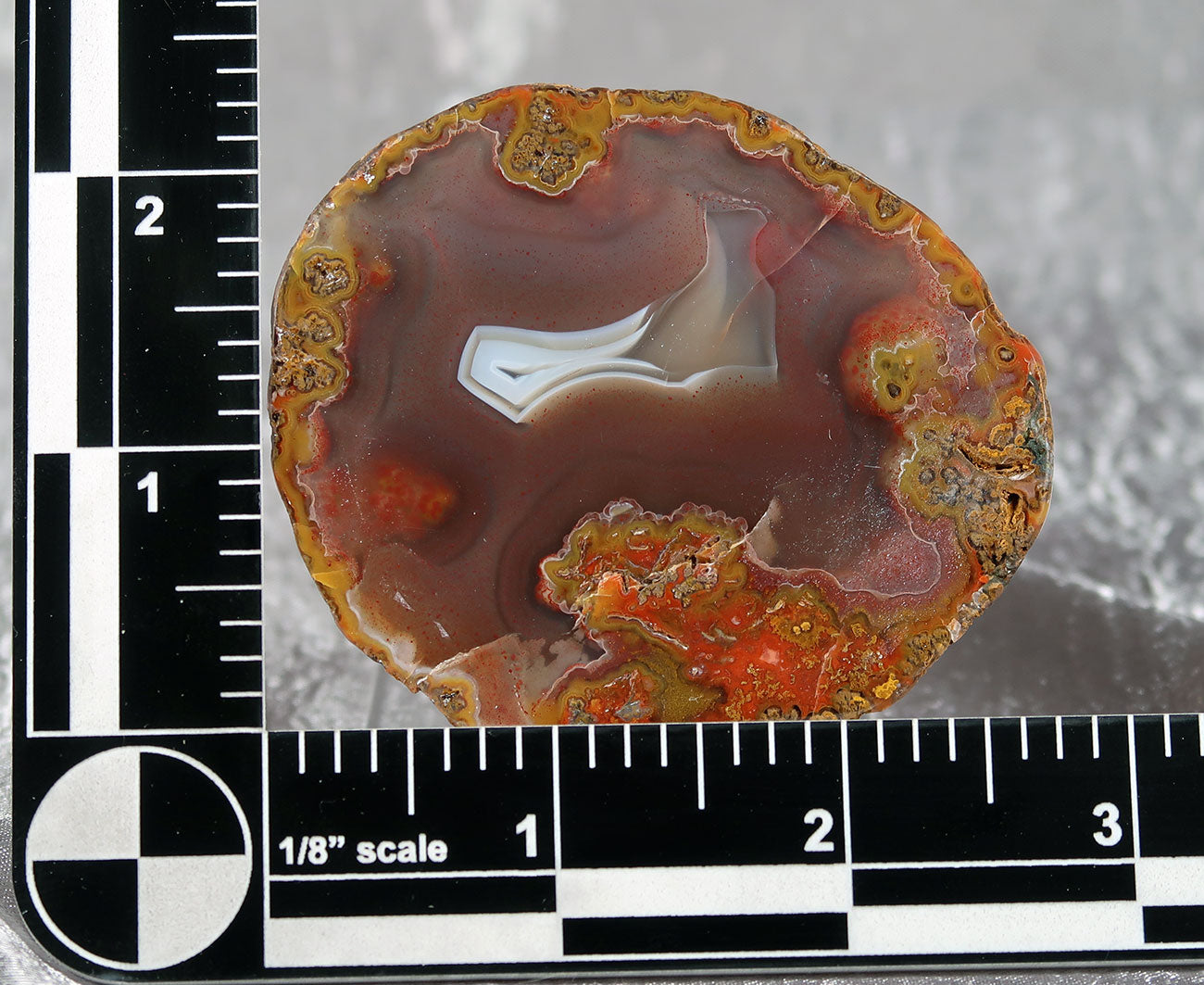 Moroccan Cut Agate Specimen 0005