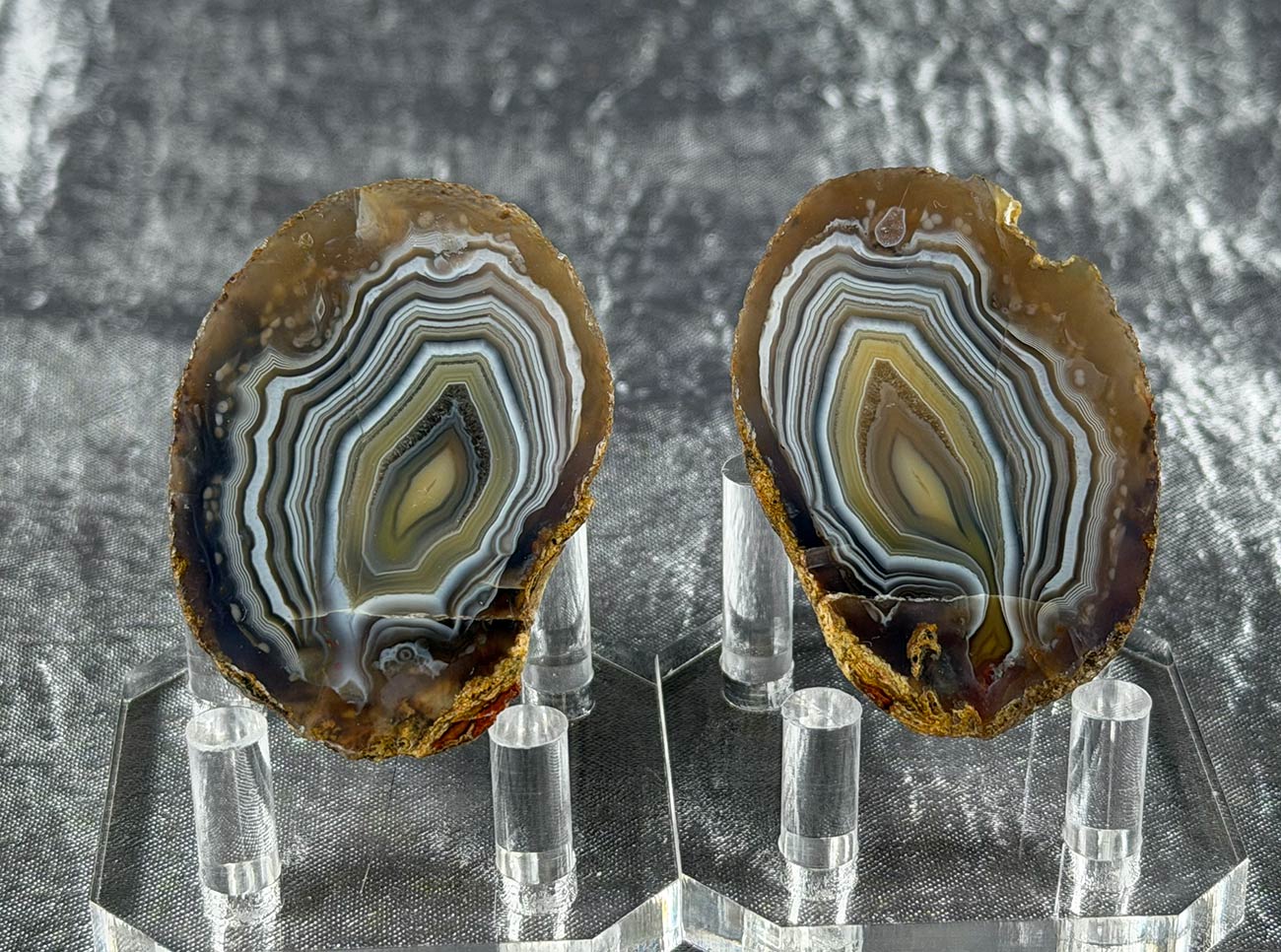 Indonesian Timor Agate Polished Cut Nodule