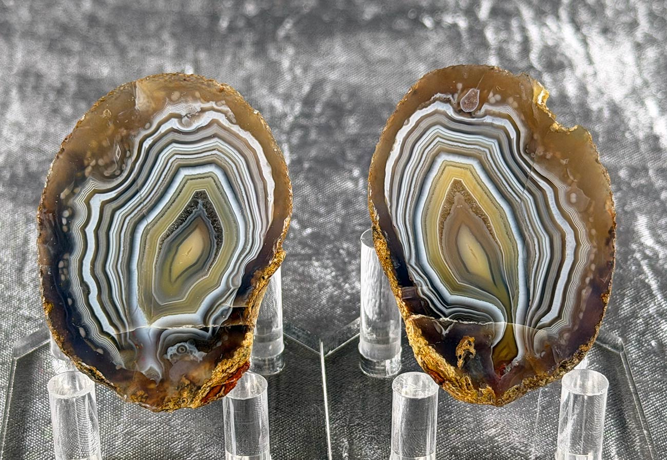Indonesian Timor Agate Polished Cut Nodule