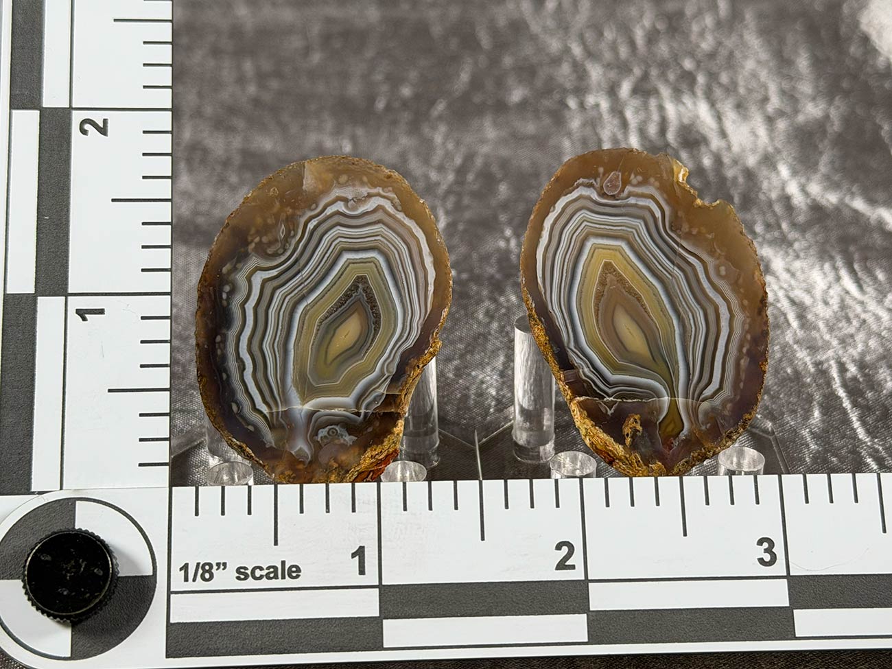 Indonesian Timor Agate Polished Cut Nodule
